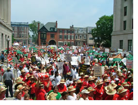 rally crowd